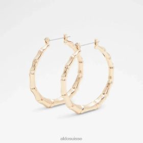 Aldo adrardollan accessoires pour femmes boucles d'oreilles mode or 60B00Z5425 Aldo Shoes