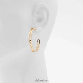 Aldo legalerith accessoires pour femmes boucles d'oreilles or mode 60B00Z6278 Aldo Suisse