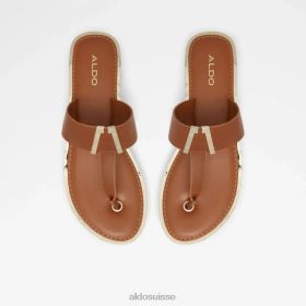 Aldo malibu tong plate sandale femme mode cognac 60B00Z5090 Aldo Suisse