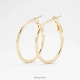 Aldo mode aceassa accessoires pour femmes boucles d'oreilles or 60B00Z5436 Aldo Switzerland