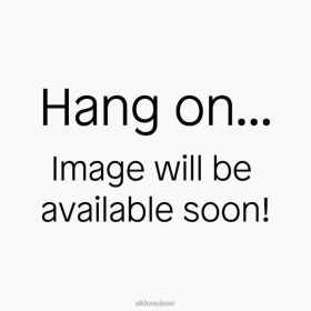 Aldo mode weverlaan accessoires pour femmes collier 60B00Z5431 Aldo Shoes